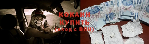 spice Алзамай