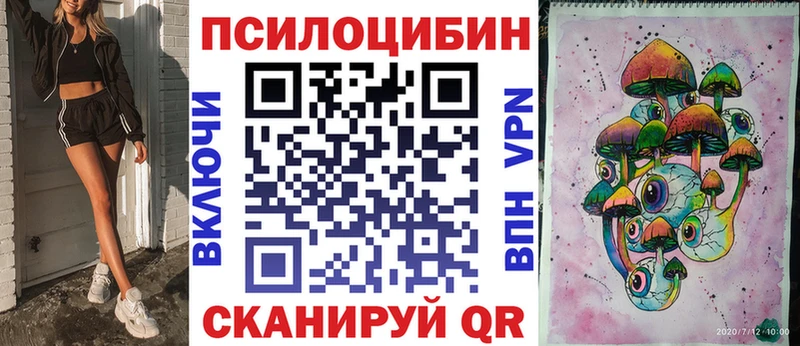 дарнет шоп  Енисейск  Галлюциногенные грибы MAGIC MUSHROOMS 