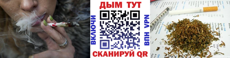 Канабис семена  где найти   Енисейск 